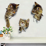 Home Decor Wall Stickers