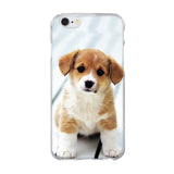 Case For Apple iPhone 5 5s se 6 6S 7 8