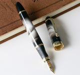 JINHAO Ink  Fountain Pen
